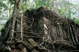 5797633253_d693262899_z