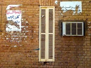 the university of khartoum