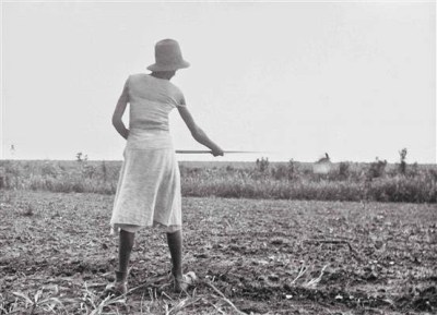 welty chopping cotton