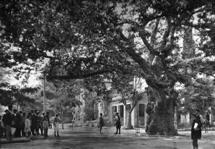 Boissonnas - Κηφισιά, 1920