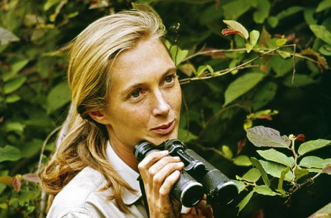 jane-goodall-4