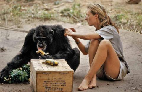 jane-goodall-b_