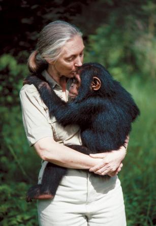 jane-goodall-c_