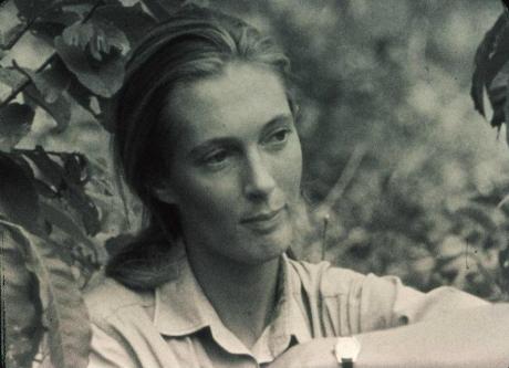 jane-goodall