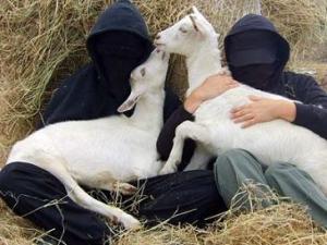 3 - animal liberation front