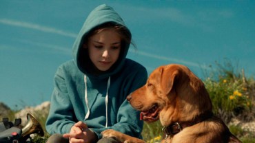 Kornél Mundruczó - Fehér isten [White God]