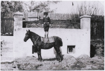 4 Gombrowicz as a young boy standing on a horse in Malosyce in 1909